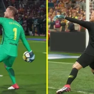 Što je bolje, fifa ili pas: opis i glavne razlike