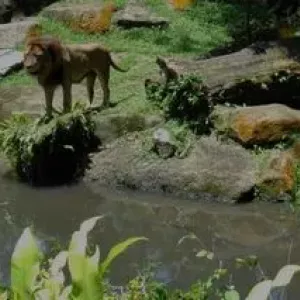 Zanimljivost je nešto nevjerojatno. Tumačenje riječi i sinonimi