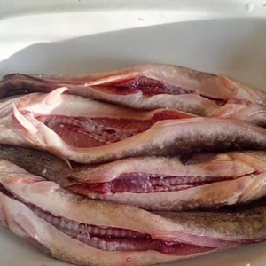 Burbot pečen u pećnici s krumpirom. Recept, opis kuhanja, savjeti